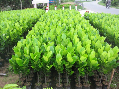 Anh-dep-Banner%202.JPG-28300.aspx